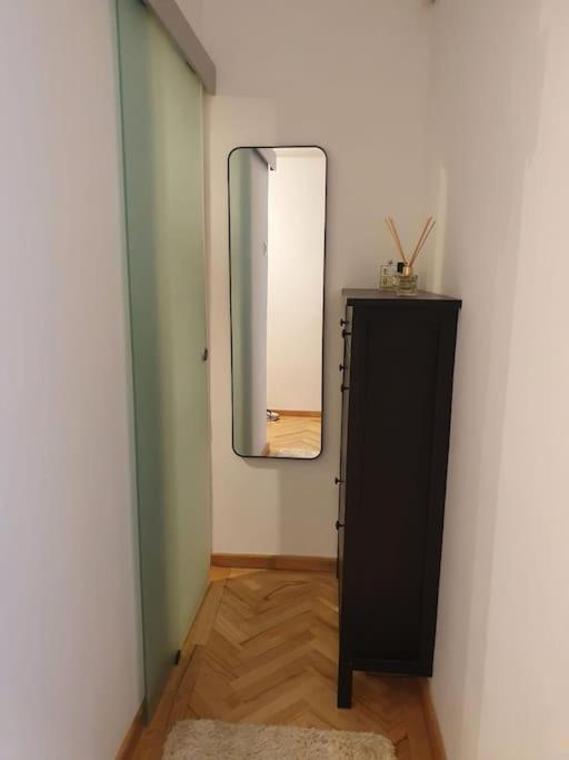 Spacious And Quiet 1Br Apartment In Floreasca Bukarest Kültér fotó