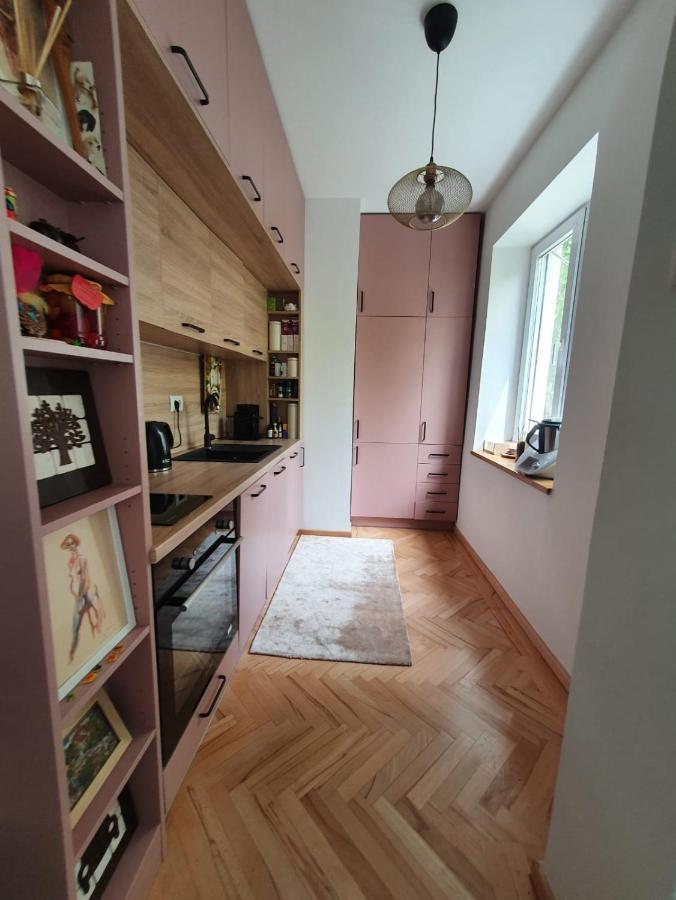 Spacious And Quiet 1Br Apartment In Floreasca Bukarest Kültér fotó